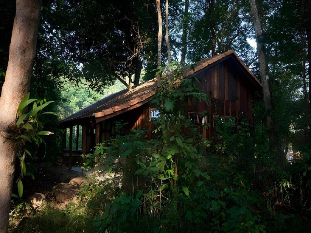Forest Floor Lodge Cat Tien Bagian luar foto