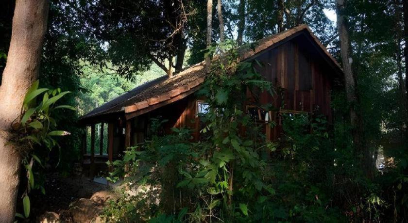Forest Floor Lodge Cat Tien Bagian luar foto